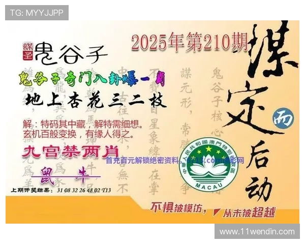 畅享澳门图库大全，电信光纤独享极速上网体验